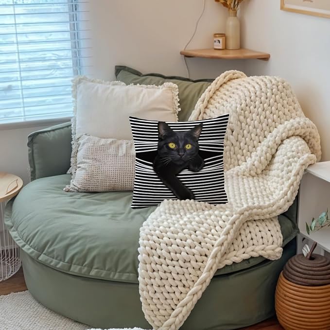 Funny Moody Black Cat Pillow Covers 18x18, Cat Room Decor, Whimsical Kitten Black and White Striped Decorative Throw Pillow Covers Pillowcases for Bedroom Living Room Home Decor