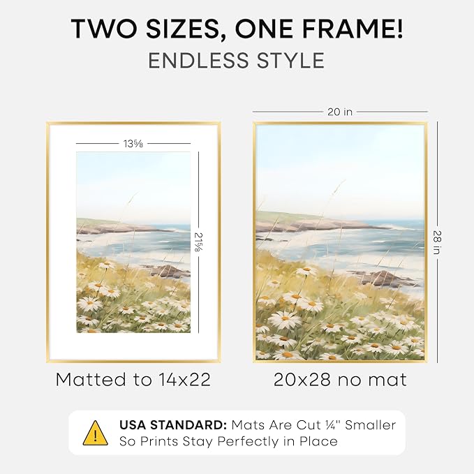 Homeforia 20x28 Gold Picture Frame, High-End Metal, 14x22 Mat, Glass