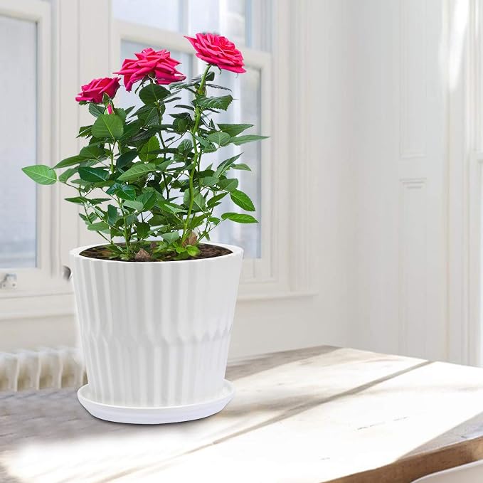 sietpoek 6.7” Ceramic Plant Pots with Drainage and Saucer 2PCs White | White Ceramic Flower Pots with Drainage Hole and Saucer, Decorative Planter for Indoor Outdoor Garden Plants Succulen