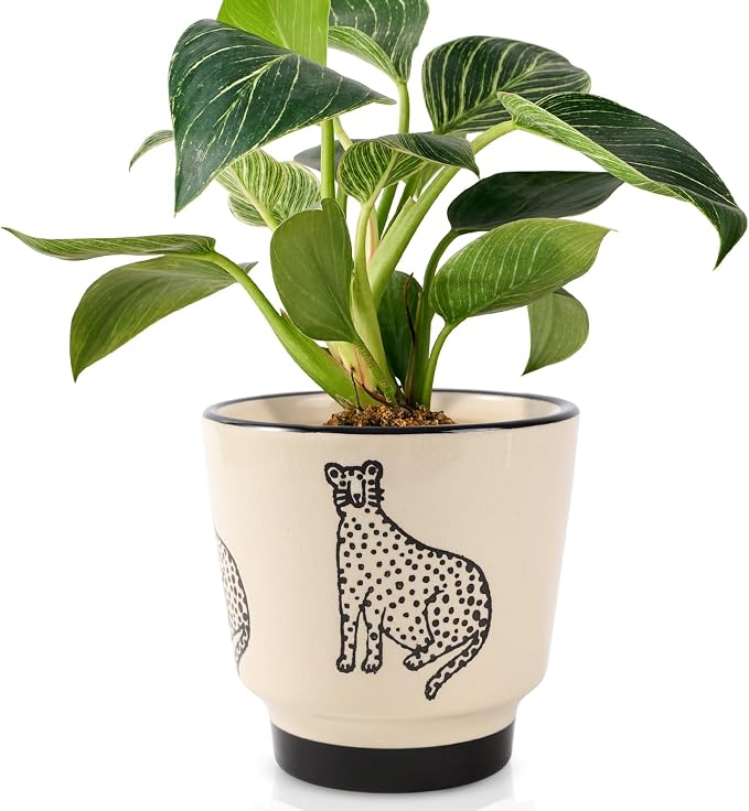STHIE 5 Inch Ceramic Planters for Indoor Plants, Funny Small Plant Pots