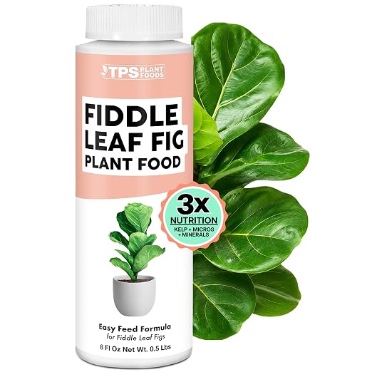 Fiddle Leaf Fig Fertilizer, Liquid Plant Food for Bigger Leaves, 8oz