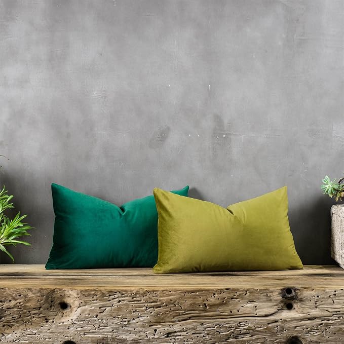 Dark Green Decorative Lumbar Velvet Throw Pillow Covers 16x24 inch Set of 2 with Zipper Luxury Soft Solid Rectangle Cushion Covers Case for Sofa Couch Bed Living Room
