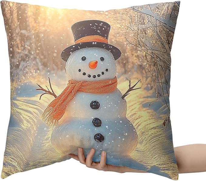 Winter Pillow Covers Snowman in The Sunshine Throw Pillow Covers 22x22 Snowflakes Pillow Case Double Sided Printing Cushion Case for Home Decor Couch Sofa Set of 2