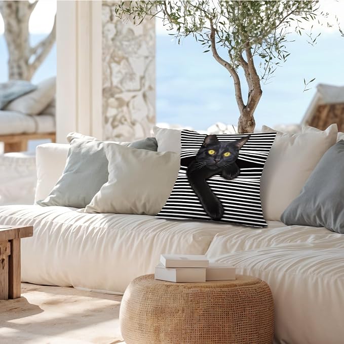 Funny Moody Black Cat Pillow Covers 18x18, Cat Room Decor, Whimsical Kitten Black and White Striped Decorative Throw Pillow Covers Pillowcases for Bedroom Living Room Home Decor