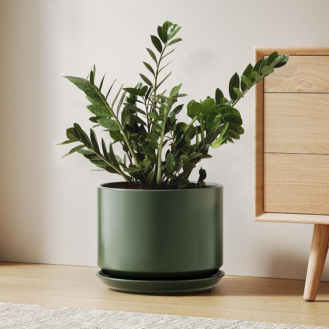 LE TAUCI Ceramic Pots for Plants, 10 Inch Plant Pot with Drainage Hole & Saucer, Sturdy & Modern Planters for Indoor Plants, Includes Mesh Screen, Fits Snake Plant & Monstera, Forest Green
