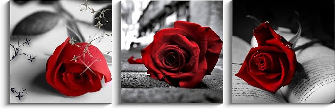 NAN Wind Canvas Print 3 Pcs Black and White Red Rose Canvas Art Painting Abstract Wall Art Decorations Flower Picture on Canvas for Home Decor Stretched and Framed (14X14inchX3pcs, A-Rose)