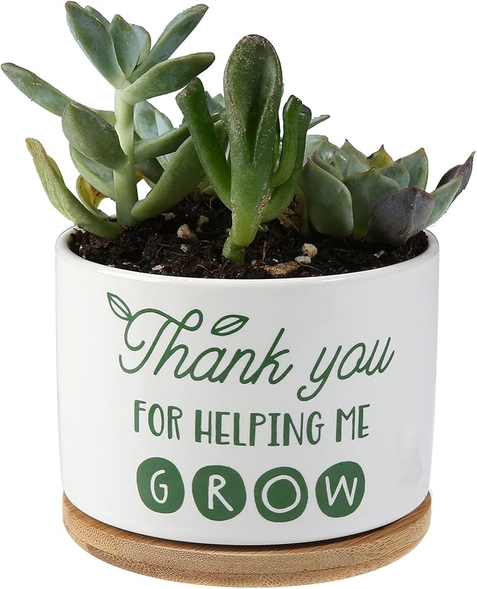 DOMG Teachers Appreciation Gift, Ceramic Succulent Plant Pot Small Flower Planter for Indoor Outdoor Use, Thank You for Helping Me Grow