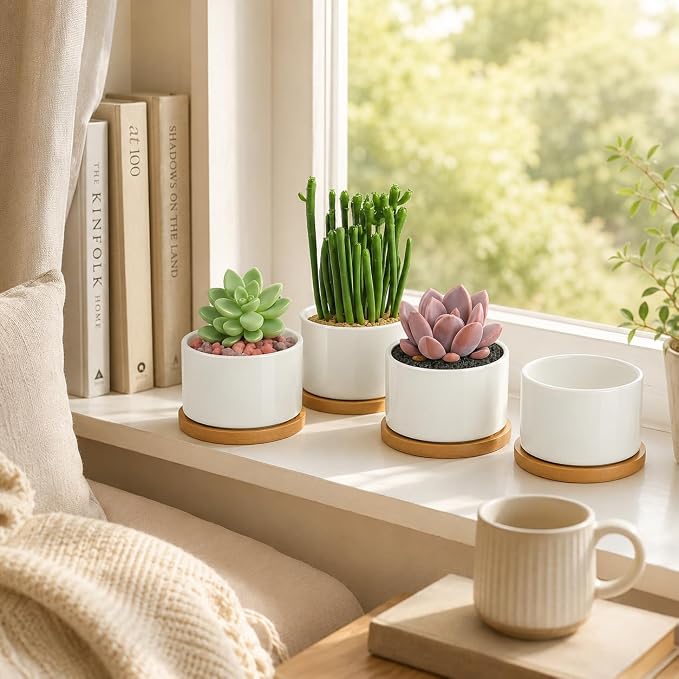 ZOUTOG 6 Pack 3.6" Ceramic Succulent Pots,White Planter with Drainage Tray