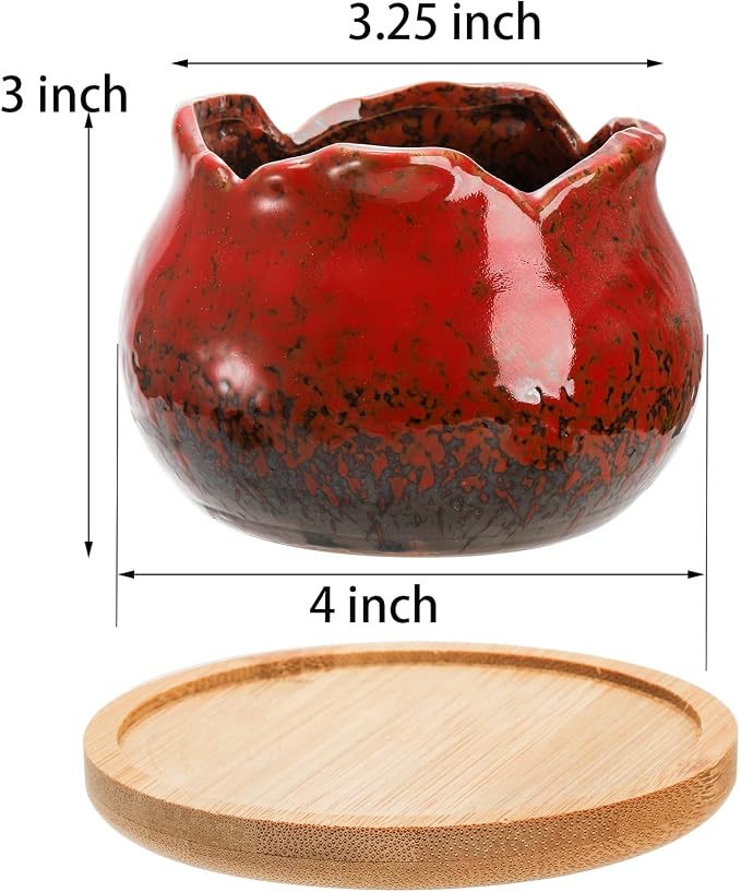 TOPZEA Set of 6 Succulent Plant Pots, 4 Inch Glazed Ceramic Pots with Drainage and Saucer, Mini Bonsai Planter Small Flower Pots for Indoor Outdoor Use (Pack of 4)