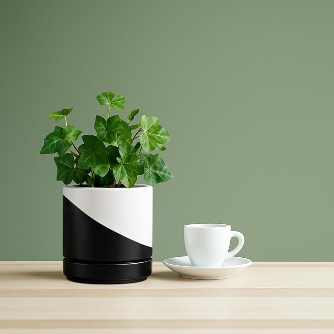 D'vine Dev 4.7 Inch Ceramic Planter Pot, Black White Diagonal, 94-O-B-K | Modern Cylinder Design, Drainage Hole & Saucer Included, Stable Structure, Elegant Home Accent