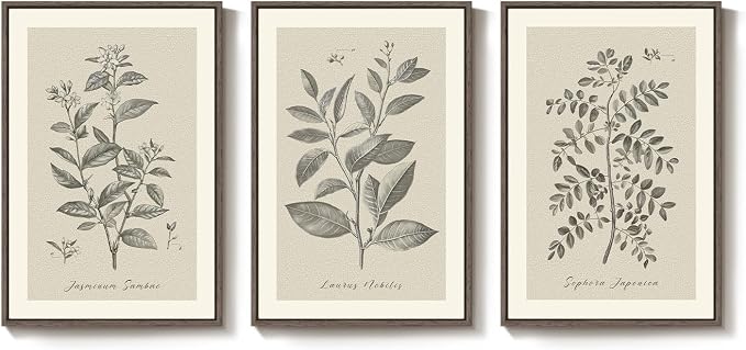 Framed 3 Piece Neutral Vintage Botanical Wall Art for Dining Room, 16x24 In | Wood Frame, Canvas prints, Rustic plants pictures, Modern farmhouse wall decor, Living room bedroom kitchen artwork