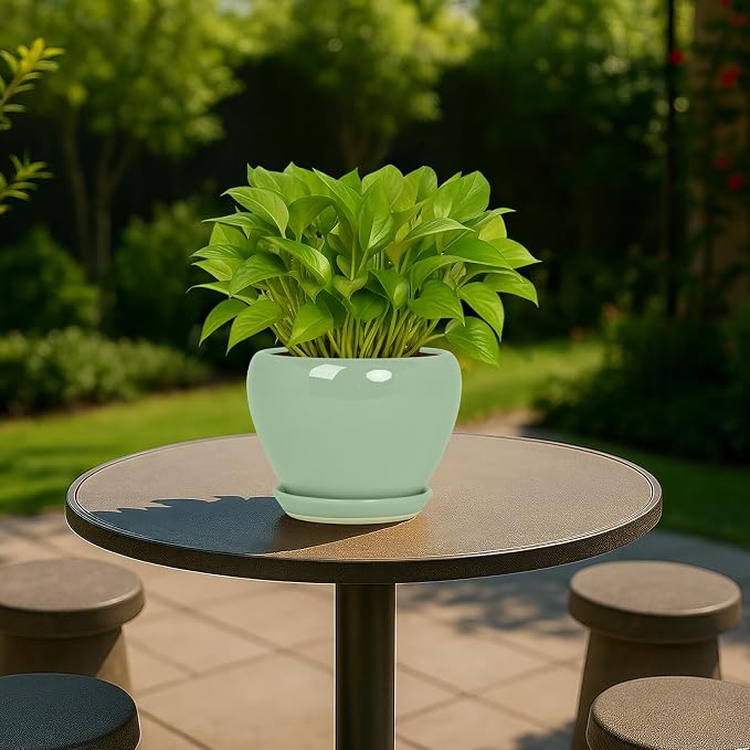 Deep Dream 6 Inch Plant Pots- Ceramic Planter Pot with Drainage Hole and Saucer, Round Flower Pot for Indoor Outdoor Succulent, Snake Plants and Cactus, Mint Green