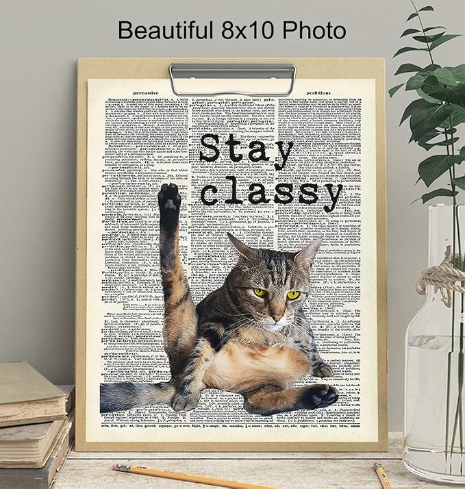 Cat Wall Decor - Cat Wall Art Print - 8x10 Poster Picture, Home or Apartment Photo Decoration - Funny Gift for Kitty Lovers, Animal Lovers, Pet Owners, Kitty or Kitten Fans - Unframed