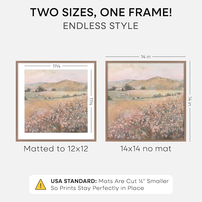 Homeforia 14x14 Mocha Picture Frame, High-End Metal, 12x12 Mat, Glass