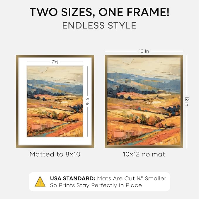 Homeforia 10x12 Bronze Picture Frame, High-End Metal, 8x10 Mat, Glass