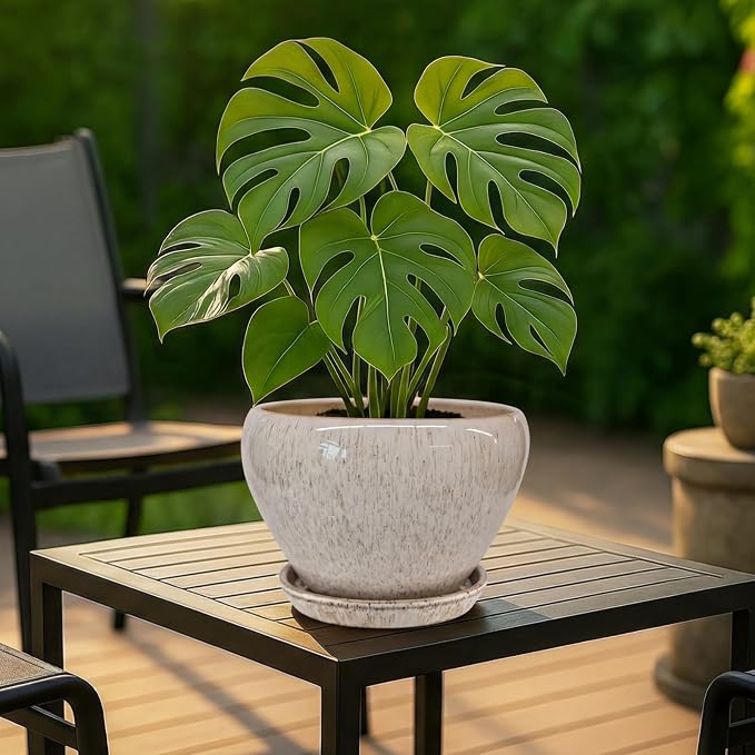 Deep Dream 8 Inch Plant Pots- Ceramic Pots for Plants with Drainage Hole and Saucer, Large Planter Pot for Indoor Plants Outdoor Decor, Beige
