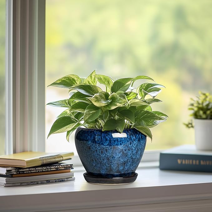 6 Inch Plant Pot - Ceramic Pots for Plants with Drainage Hole and Saucer, Round Succulent Planter Indoor Outdoor, Modern Flower Pot for Snake Plants, Home Decor, Gifts for Plant Lover, Blue