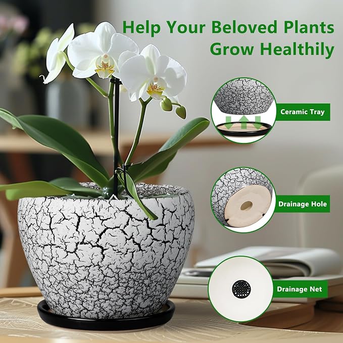 Ceramicfor Ceramic Planter Pot - 6 Inch Plant Pot with Drainage Hole and Saucer, Succulent Pot Glaze Round for Indoor Outdoor Plants, White and Black