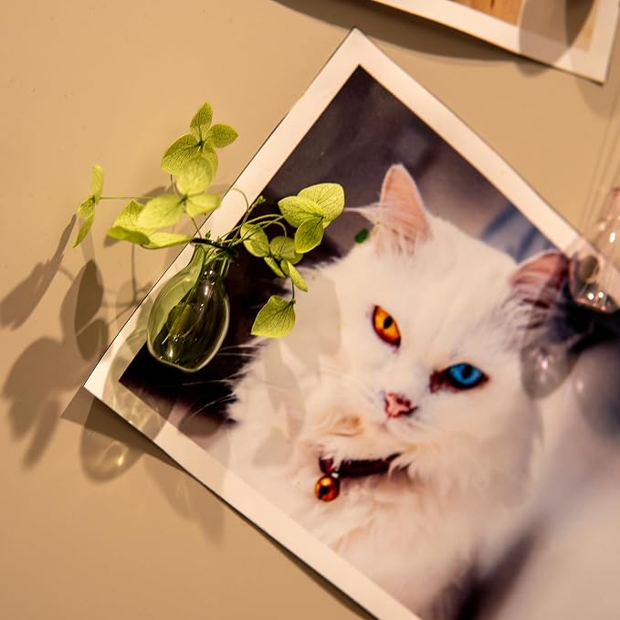 Nuvretk 2PCS Mini Vase Magnets, Cat Whisker Holder Glass Fridge Vase | Mini Glass Vase Magnet; Cat Whisker Keepsake Holder; Tiny Flower Display for Fridge Décor; Secure Magnetic Back