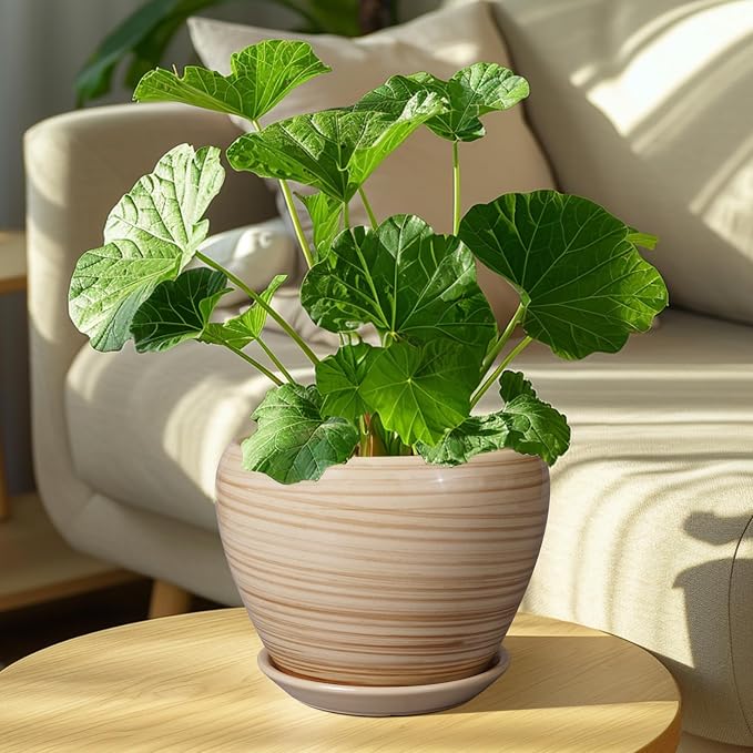 Ceramicfor Planter Pot 8 Inch, Ceramic Pot for Plants, Yellow | Indoor Plant Pot with Drainage Hole and Saucer, Round Planter, Modern Flower Pot, Succulent Pot for House Patio