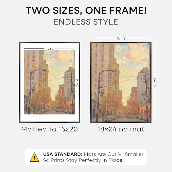 Homeforia 18x24 Black Poster Frame, High-End Metal, 16x20 Mat, Glass