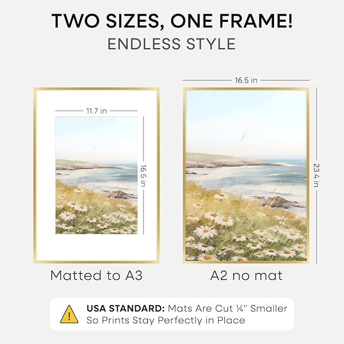 Homeforia A2 Gold Picture Frame, High-End Metal, A3 Mat, Glass