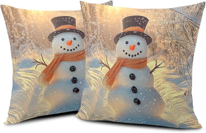Winter Pillow Covers Snowman in The Sunshine Throw Pillow Covers 22x22 Snowflakes Pillow Case Double Sided Printing Cushion Case for Home Decor Couch Sofa Set of 2