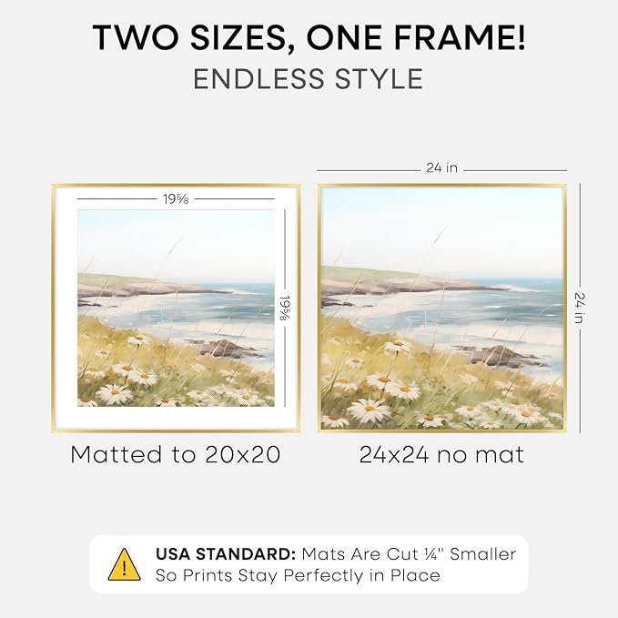 Homeforia 24x24 Gold Picture Frame, High-End Metal, 20x20 Mat, Glass