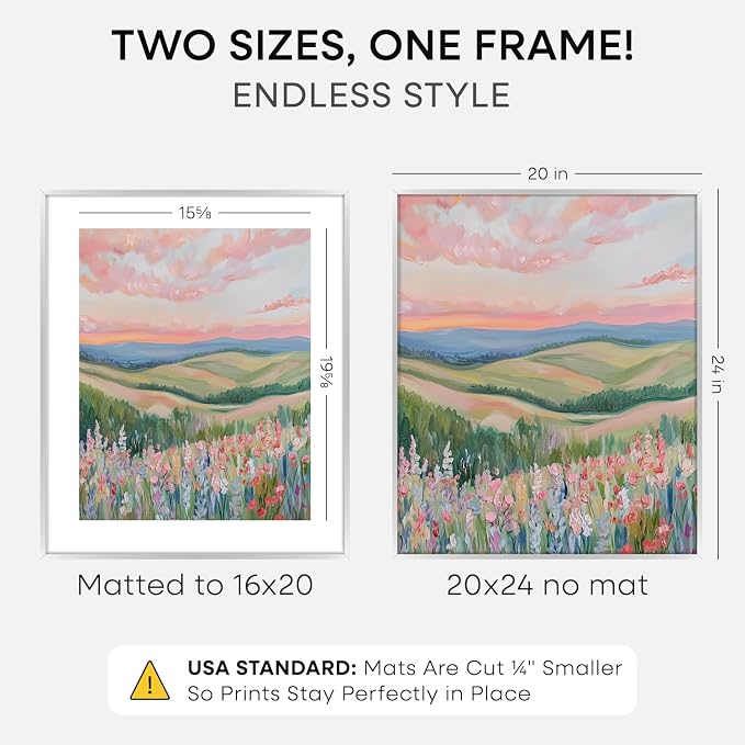 Homeforia 20x24 Silver Picture Frame, High-End Metal, 16x20 Mat, Glass