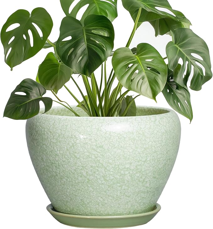Ceramic Planter, 8 Inch Plant Pot, Crackle Light Green | Indoor Planters for Indoor Plants, Decorative Flower Pots with Drainage Hole and Saucer, Office Decor, Plant Lover Gifts