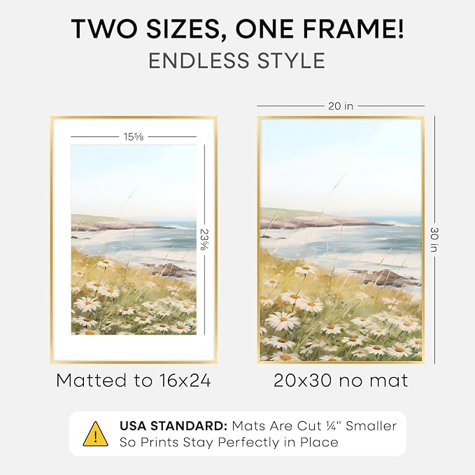 Homeforia 20x30 Gold Picture Frame, High-End Metal, 16x24 Mat, Glass