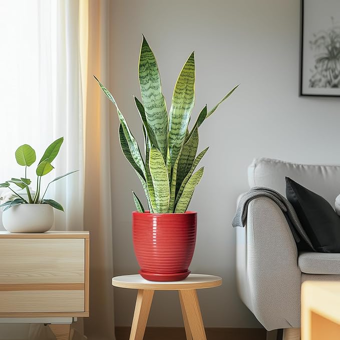 6 Inch Ceramic Plant Pot - Ceramic Pots for Plants, Round Planter with Drainage Hole and Saucer, Modern Flower Pots for Indoor Plants, Desk Home Office Decor, Plant Lover Gifts, Glossy Red