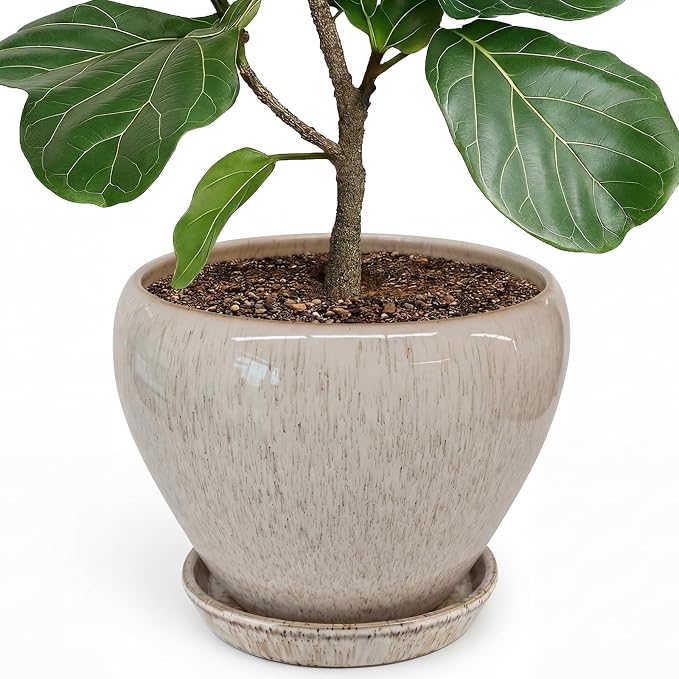 Deep Dream 10 Inch Plant Pot- Ceramic Planter Pot Round Plant Pots for Indoor Plants Outdoor Large Flower Pot with Drainage Holes & Trays, Beige