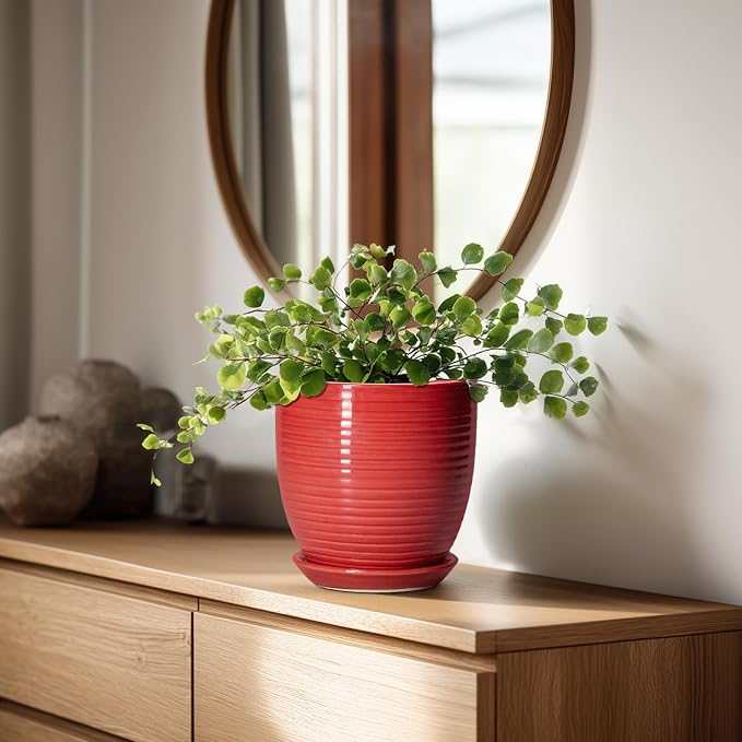 6 Inch Ceramic Plant Pot - Ceramic Pots for Plants, Round Planter with Drainage Hole and Saucer, Modern Flower Pots for Indoor Plants, Desk Home Office Decor, Plant Lover Gifts, Glossy Red