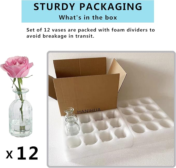 Set of 12 Glass Vases Bud Vases in Bulk, Small Vase for Flowers (Pack of 2)