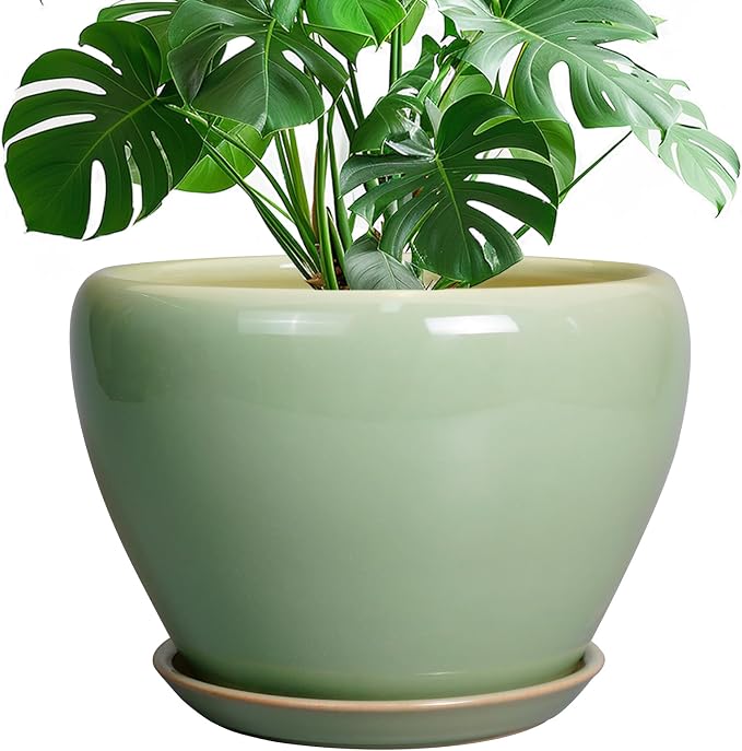 Ceramicfor Ceramic Planter Pot, 10 Inch Plant Pot, Reactive Green | Decorative Planter with Drainage Hole and Saucer, Large Round Flower Pot for Indoor Plants, Garden Decor