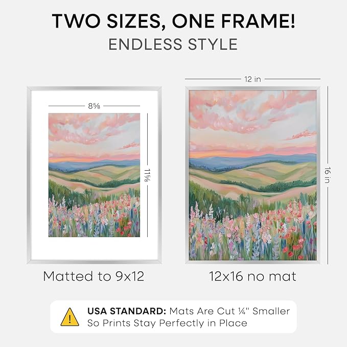 Homeforia 12x16 Silver Picture Frame, High-End Metal, 9x12 Mat, Glass