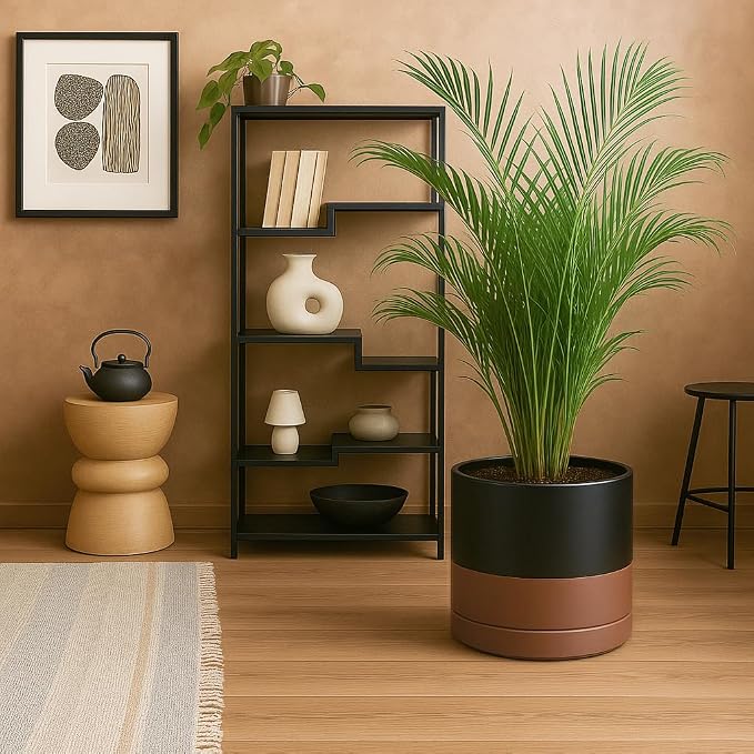D'vine Dev 12 Inch Ceramic Planter Pot, Black/Tan, 94-O-F-7 | Modern Cylinder Design, Drainage Hole & Saucer Included, Stable Structure, Elegant Home Accent