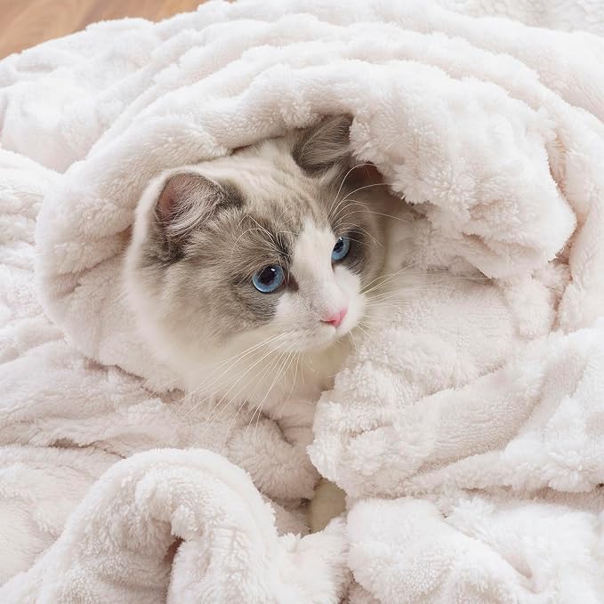 EverGrace Jacquard Reversible Sherpa Throw Blanket, 50" x 60", Bleach White | Jacquard Sherpa Throw Blanket, Super Soft, Cozy Plush Blanket, Reversible Thick Warm Throw for Bed, Sofa, Living Room