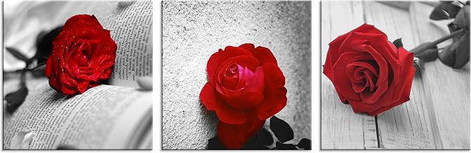 NAN Wind 3 Pcs Modern Canvas Painting Black and White Red Rose Canvas Art Abstract Wall Art Decorations Flower Picture on Canvas for Home Decor (14X14inchX3Pcs, B-Rose)