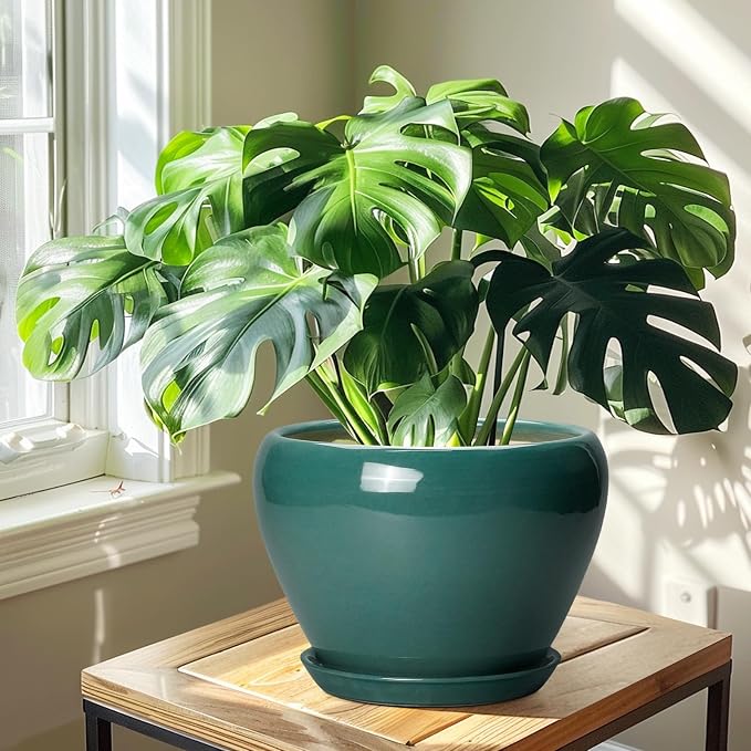 Ceramicfor Ceramic Planter for Indoor Plants 10 Inch, Green | Ceramic Plant Pot with Drainage Hole and Saucer, Glaze Round Decorative Planter, Plant Lover Gifts, Home Room Office Decor
