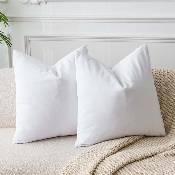 JUSPURBET 24x24 Euro Velvet Throw Pillow Covers Set of 2,White