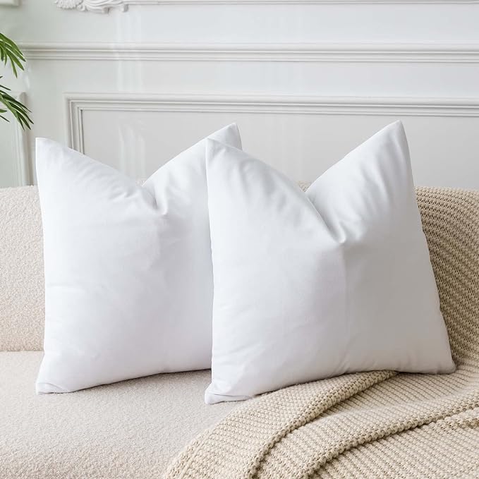 JUSPURBET 28x28 Euro Velvet Throw Pillow Covers Set of 2,White