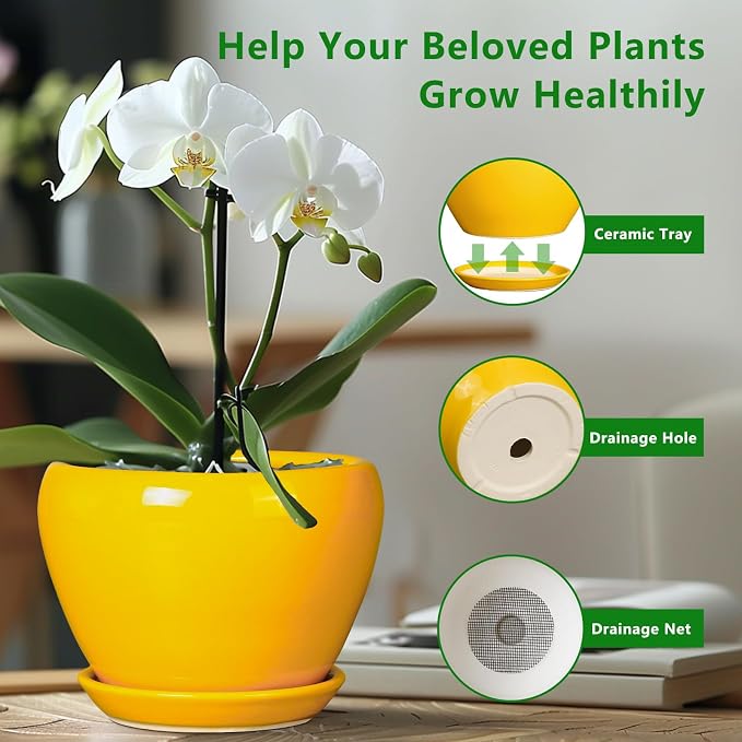 Ceramicfor Ceramic Planter - 10 Inch Plant Pot for Indoor Outdoor Plants Glaze Modern Round Planter with Drainage Hole and Saucer for Garden Office Home Room Patio Decor, Yellow