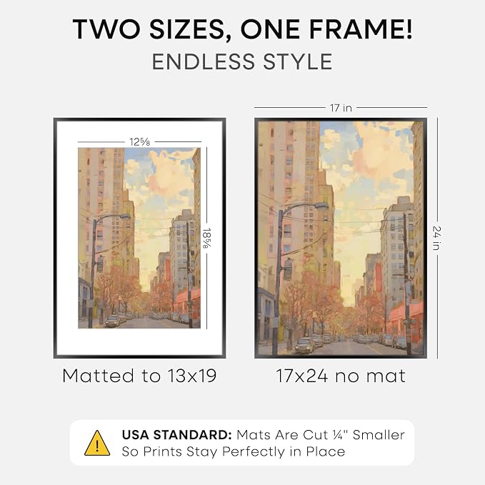 Homeforia 17x24 Black Picture Frame, High-End Metal, 13x19 Mat, Glass