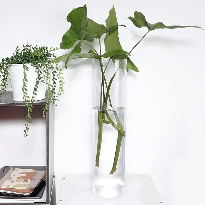 Tall Vases for Centerpieces, Clear Acrylic Cylinder Vase, 4" W x 16" H Round Vase, Decorative Centerpieces Flower Vases for Wedding, Home
