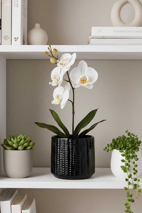 Ceramic Planter Pot with Drainage Hole, 5 Inch Dia, Indoor and Outdoor, Home Patio Garden, Plants&Flowers, Textured Round (Black)