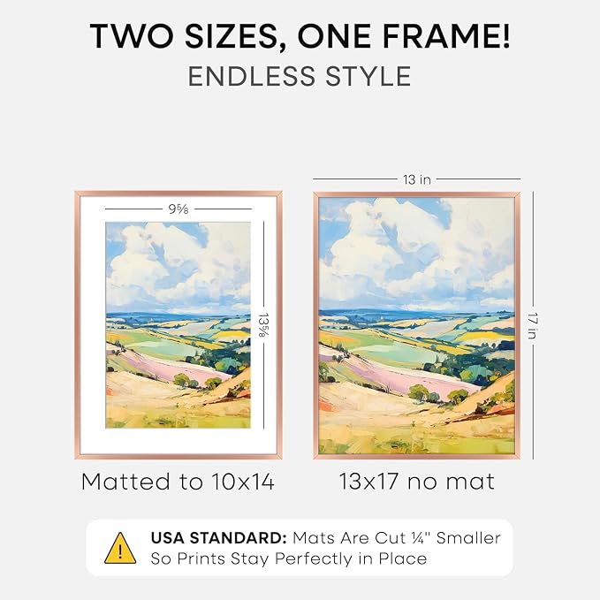 Homeforia 13x17 Rose Picture Frame, High-End Metal, 10x14 Mat, Glass