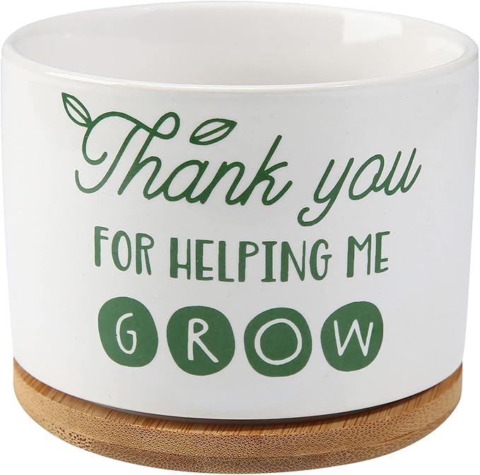 DOMG Teachers Appreciation Gift, Ceramic Succulent Plant Pot Small Flower Planter for Indoor Outdoor Use, Thank You for Helping Me Grow