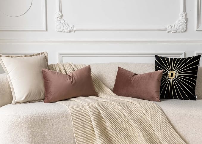 JUSPURBET 16x24 Lumbar Velvet Throw Pillow Covers Set of 2,Jam